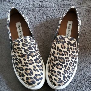 Steve madden sneakers